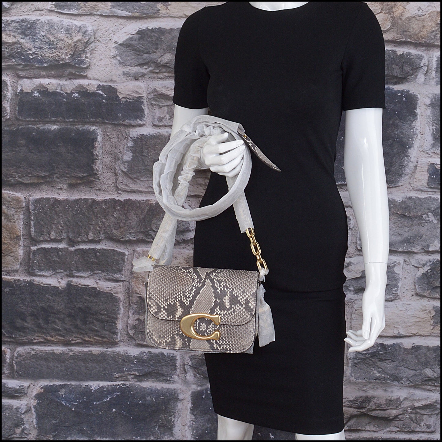 RDC15021 COACH Chalk Natual Python Idol Crossbody Chain Strap Bag