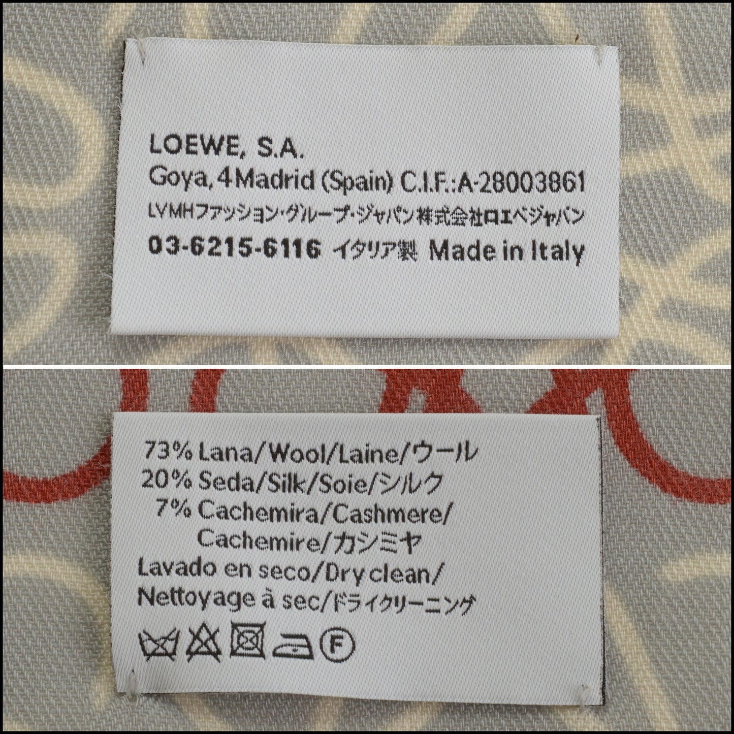 RDC15531 LOEWE Grey/Multicolor Anagram Wool/Silk Long Scarf