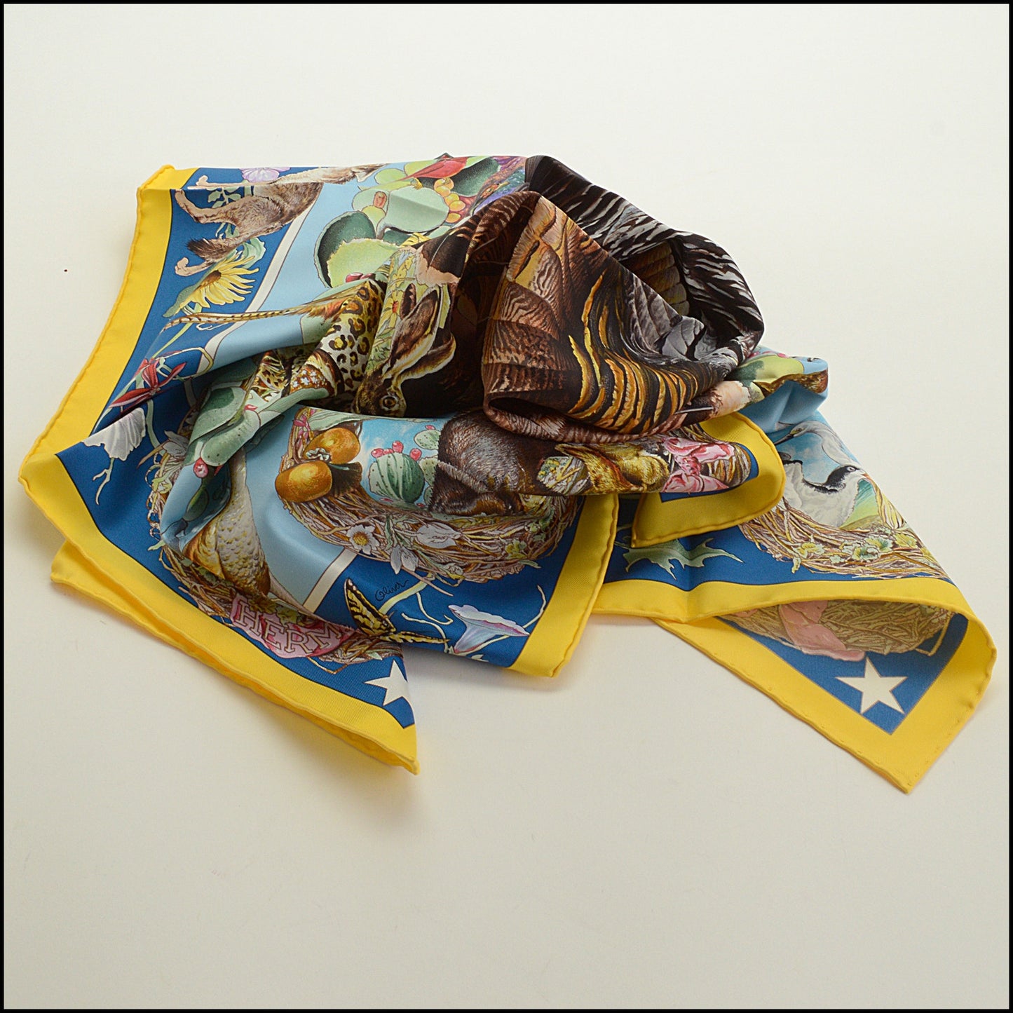 RDC15256 HERMES '26 Blue Faune et Flore du Texas Forever Silk Scarf 90cm - Kermit Oliver