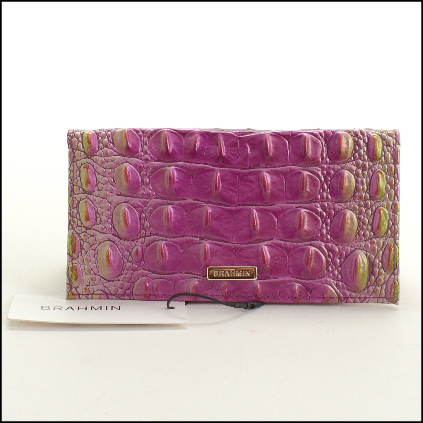 RDC15293 BRAHMIN Limeade Ombre Melbourne Leather Checkbook Cover with Pen