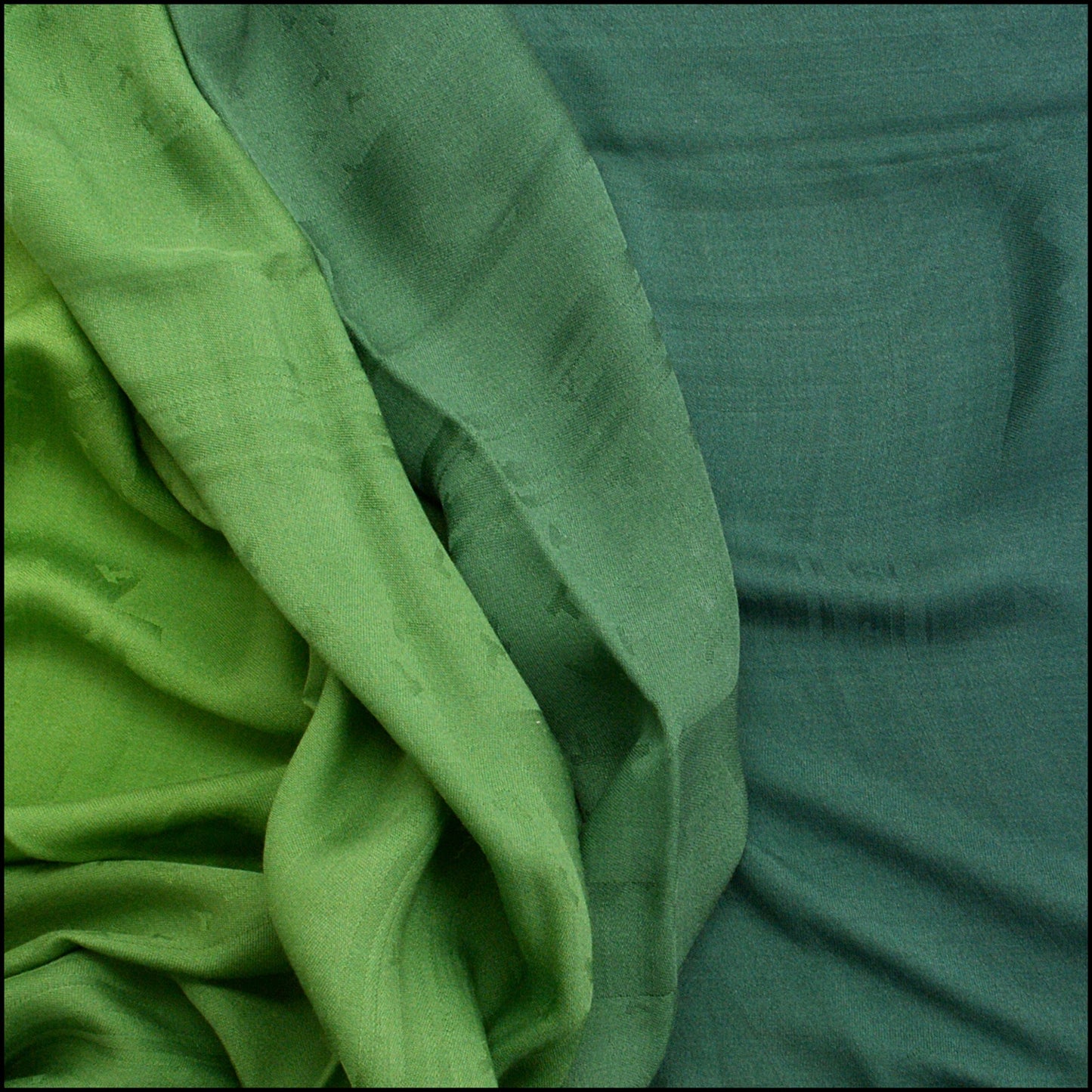 RDC15226 TIFFANY & CO. Green Dancing T Silk and Wool Stole 140cm