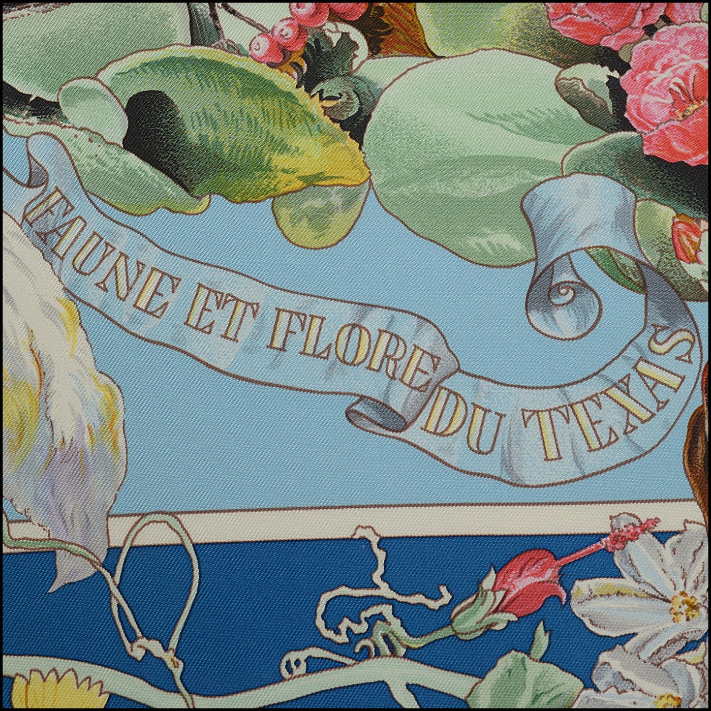 RDC15256 HERMES '26 Blue Faune et Flore du Texas Forever Silk Scarf 90cm - Kermit Oliver