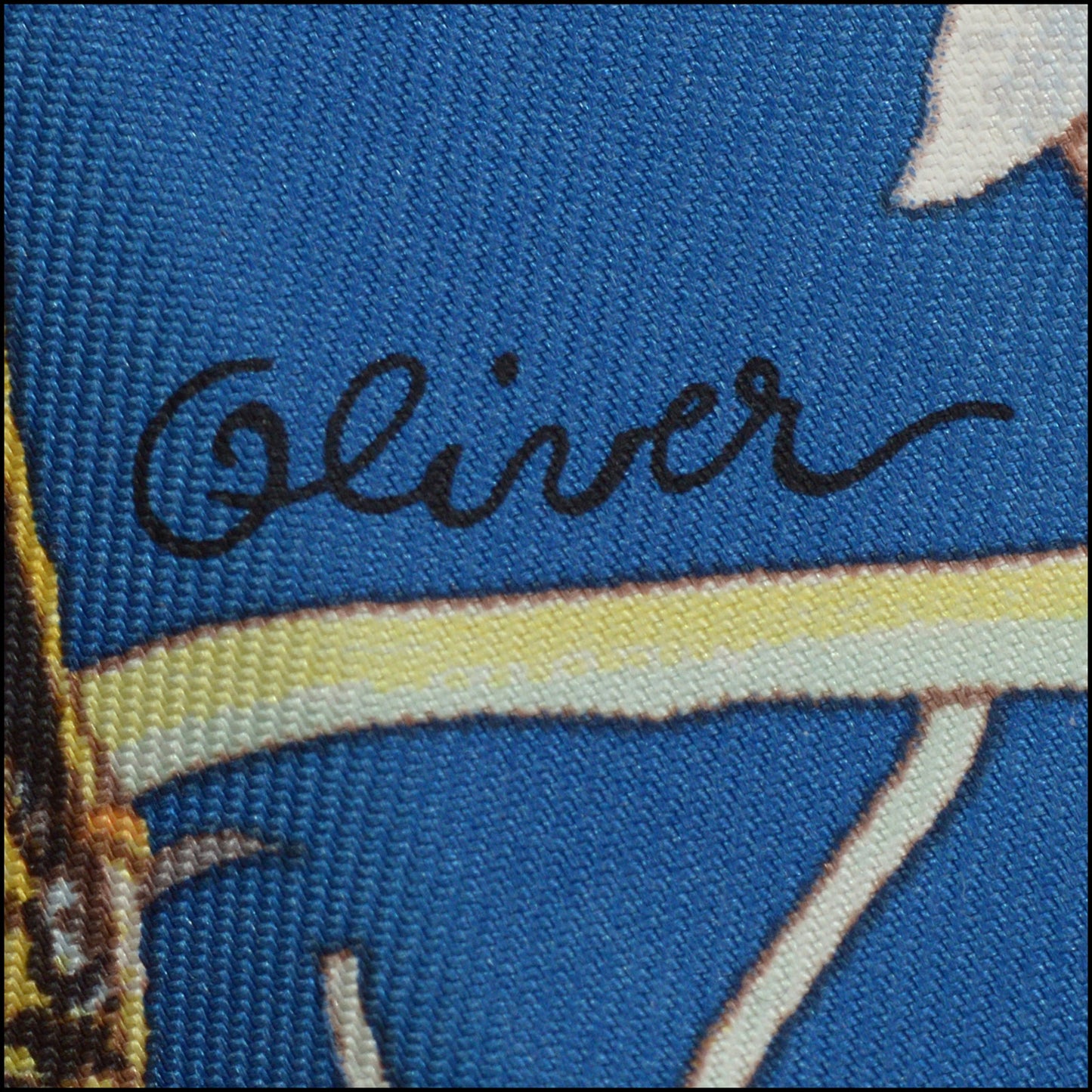 RDC15256 HERMES '26 Blue Faune et Flore du Texas Forever Silk Scarf 90cm - Kermit Oliver