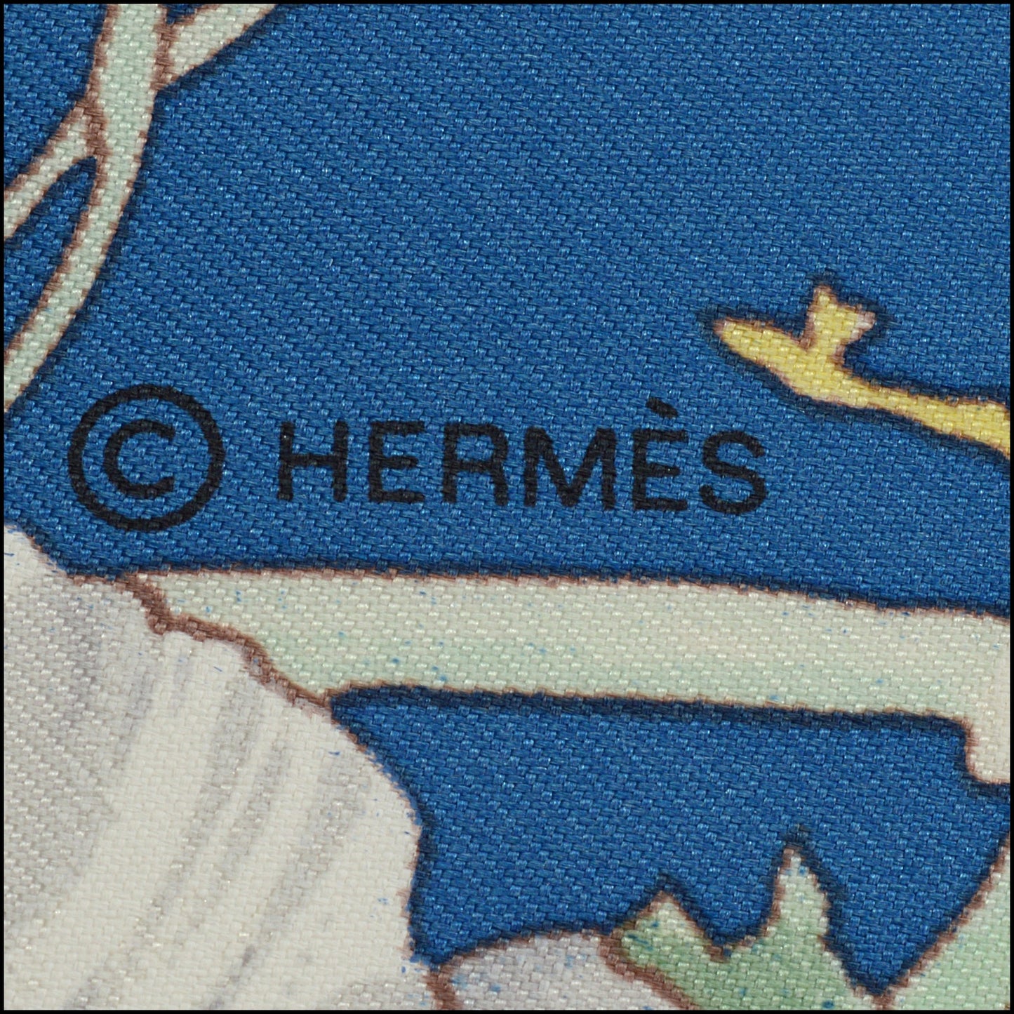 RDC15256 HERMES '26 Blue Faune et Flore du Texas Forever Silk Scarf 90cm - Kermit Oliver